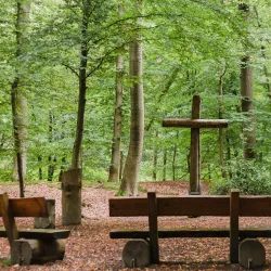 Lohmarer Wald - Bergisch Gladbach