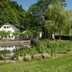 Papiermühle Alte Dombach - Bergisch Gladbach