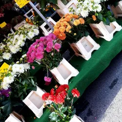 Refrather Markt - Bergisch Gladbach