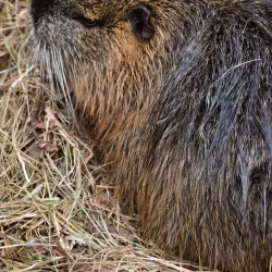 Beverstedt Community Park - Beverstedt