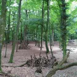 Old Mill of Beverstedt - Beverstedt