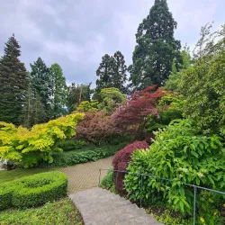Botanischer Garten Bielefeld - Bielefeld