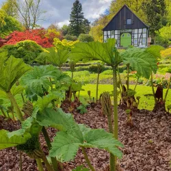 Botanischer Garten Bielefeld - Bielefeld