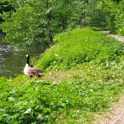 Sennestadt - Bielefeld