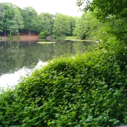 Sennestadt - Bielefeld