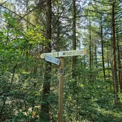 Teutoburg Forest - Bielefeld