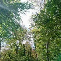 Teutoburg Forest - Bielefeld