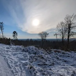 Teutoburg Forest - Bielefeld