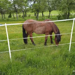 Bitburg Air Base Museum - Bitburg