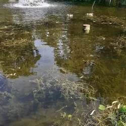 Bitburg City Park (Stadtpark) - Bitburg