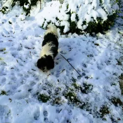 Bitburg City Park (Stadtpark) - Bitburg