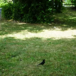 Bitburg City Park (Stadtpark) - Bitburg