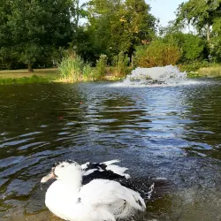 Bitburg City Park (Stadtpark) - Bitburg
