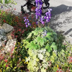 Bitburg City Park (Stadtpark) - Bitburg