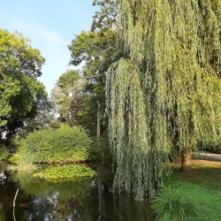Bitburg City Park (Stadtpark) - Bitburg