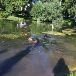 Bitburg City Park (Stadtpark) - Bitburg