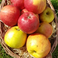 Bitburg Market Square (Marktplatz) - Bitburg