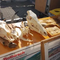 Bitburg Market Square (Marktplatz) - Bitburg