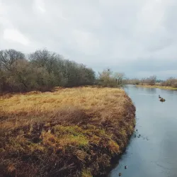 Mulde River - Bitterfeld