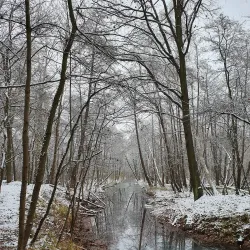 Schmöckwitzsee - Blankenfelde-Mahlow