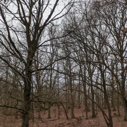 Hohenhorst Park - Bocholt