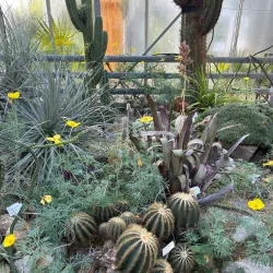 Botanischer Garten der Ruhr-Universität Bochum (Botanical Garden) - Bochum