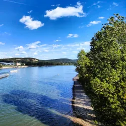 Altes Rathaus (Old Town Hall) - Bonn