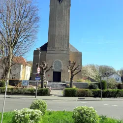 Altes Rathaus (Old Town Hall) - Bonn