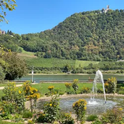 Beuel Rhine Promenade - Bonn
