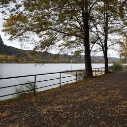 Beuel Rhine Promenade - Bonn