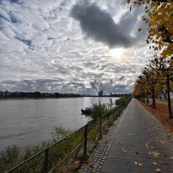 Beuel Rhine Promenade - Bonn