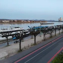 Beuel Rhine Promenade - Bonn