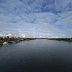 Beuel Rhine Promenade - Bonn