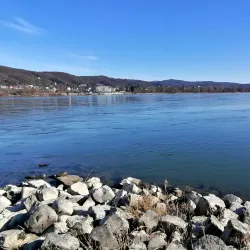 Beuel Rhine Promenade - Bonn