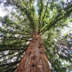 Botanical Gardens of the University of Bonn - Bonn