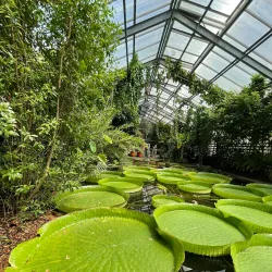 Botanical Gardens of the University of Bonn - Bonn