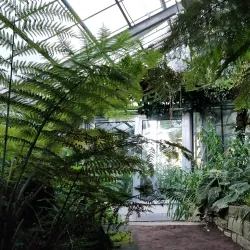 Botanical Gardens of the University of Bonn - Bonn
