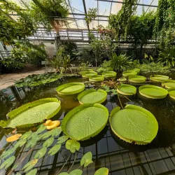 Botanical Gardens of the University of Bonn - Bonn