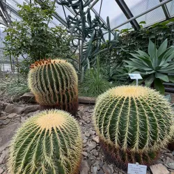 Botanical Gardens of the University of Bonn - Bonn