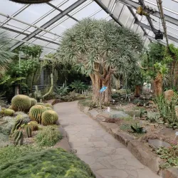 Botanical Gardens of the University of Bonn - Bonn