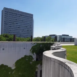 Bundeskunsthalle (Federal Art and Exhibition Hall) - Bonn