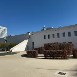 Bundeskunsthalle (Federal Art and Exhibition Hall) - Bonn