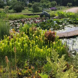 Poppelsdorf Palace (Poppelsdorfer Schloss) - Bonn