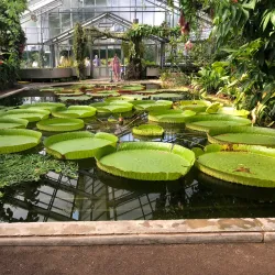 Poppelsdorf Palace (Poppelsdorfer Schloss) - Bonn