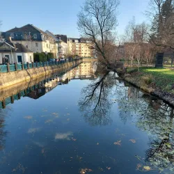 Poppelsdorf Palace (Poppelsdorfer Schloss) - Bonn