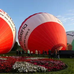 Rheinaue Park (Rheinaue) - Bonn