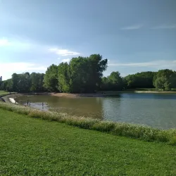 Rheinaue Park (Rheinaue) - Bonn