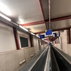 Alpincenter Toboggan Run - Bottrop