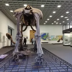 Bottrop Art Gallery (Kunsthalle Bottrop) - Bottrop