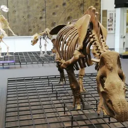 Bottrop Art Gallery (Kunsthalle Bottrop) - Bottrop